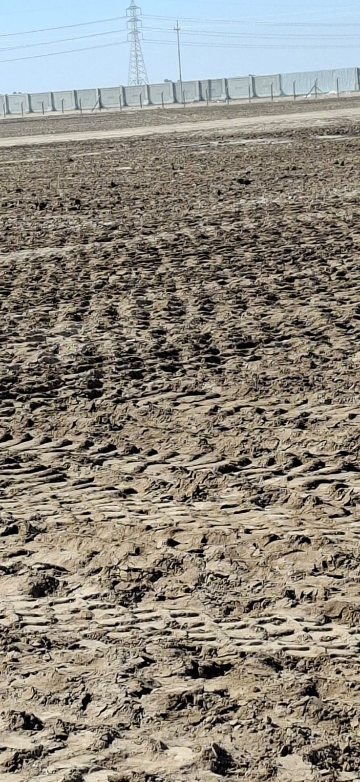 WhatsApp Image 2025-11-16 at 14.56.24_4f744520