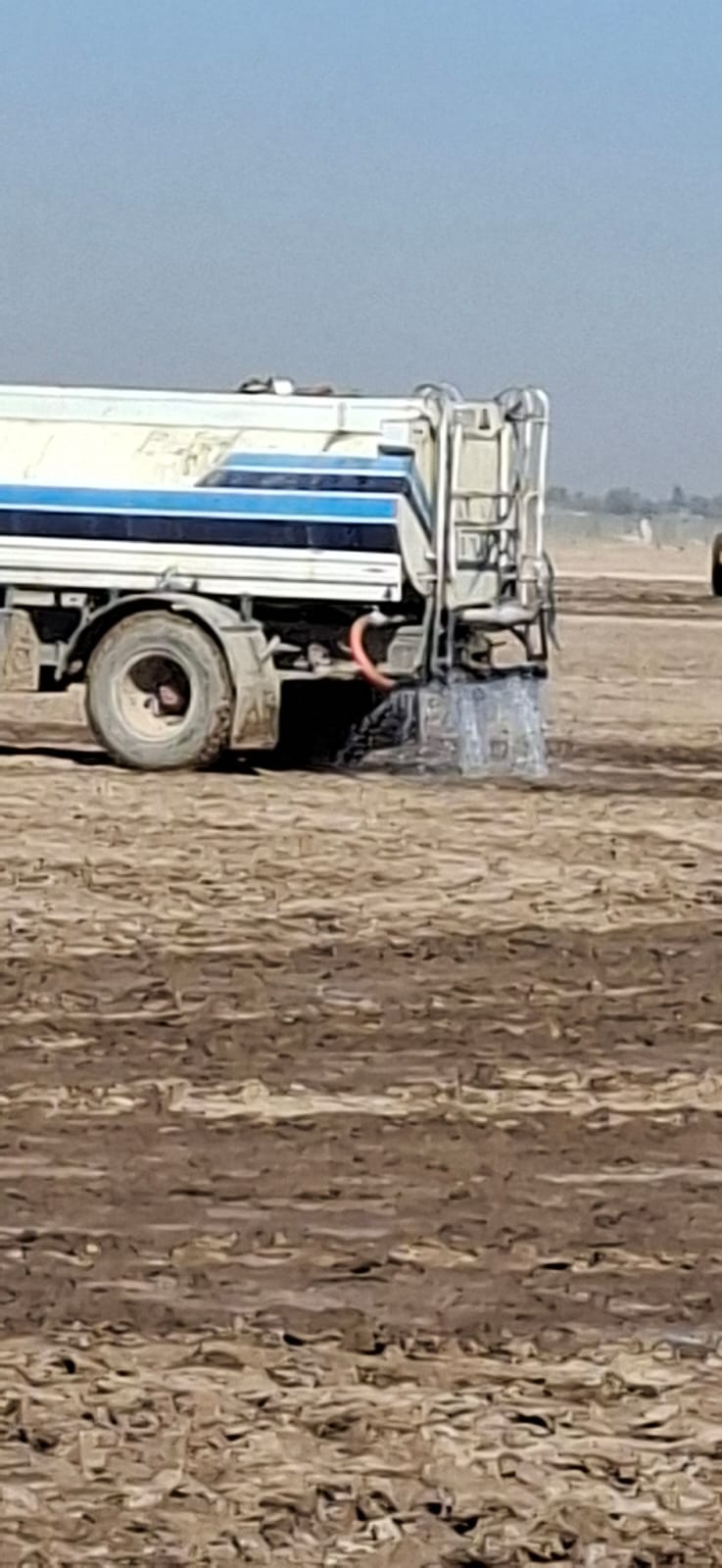 WhatsApp Image 2025-11-16 at 14.56.49_b1d17801